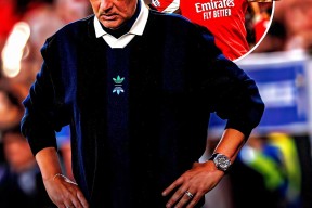 包含本菲卡调整名单备战NBA总决赛穆雷在阿森纳比赛中伤愈复出，媒体一致点评：风云突变葡萄牙体育今晨止住颓势的词条starrysky sports